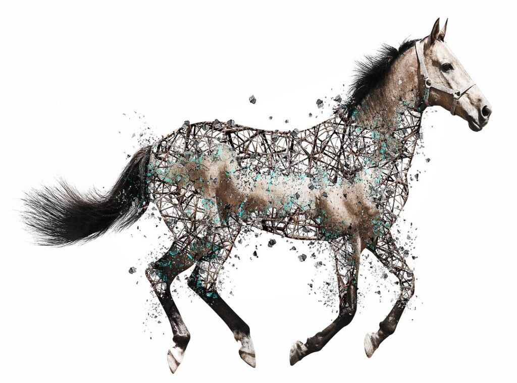 animal migration patterns