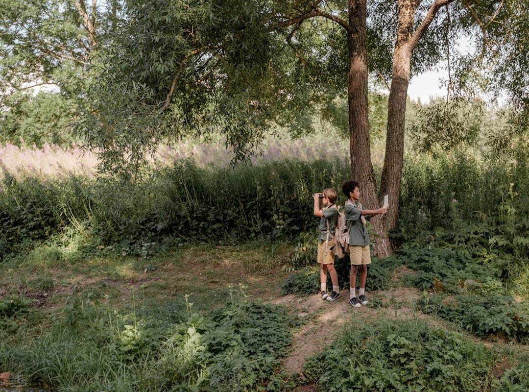 camping wildlife protection