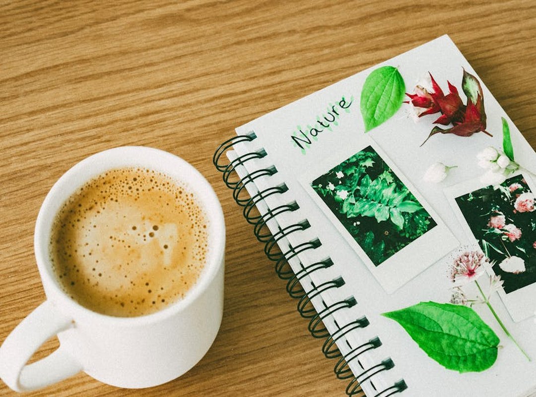 nature journal start