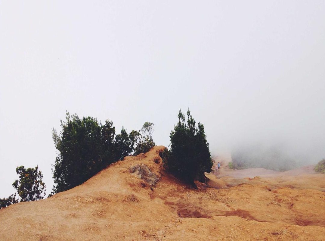 When to Pay Attention: Differentiating Normal Pulsing from a Warning Sign