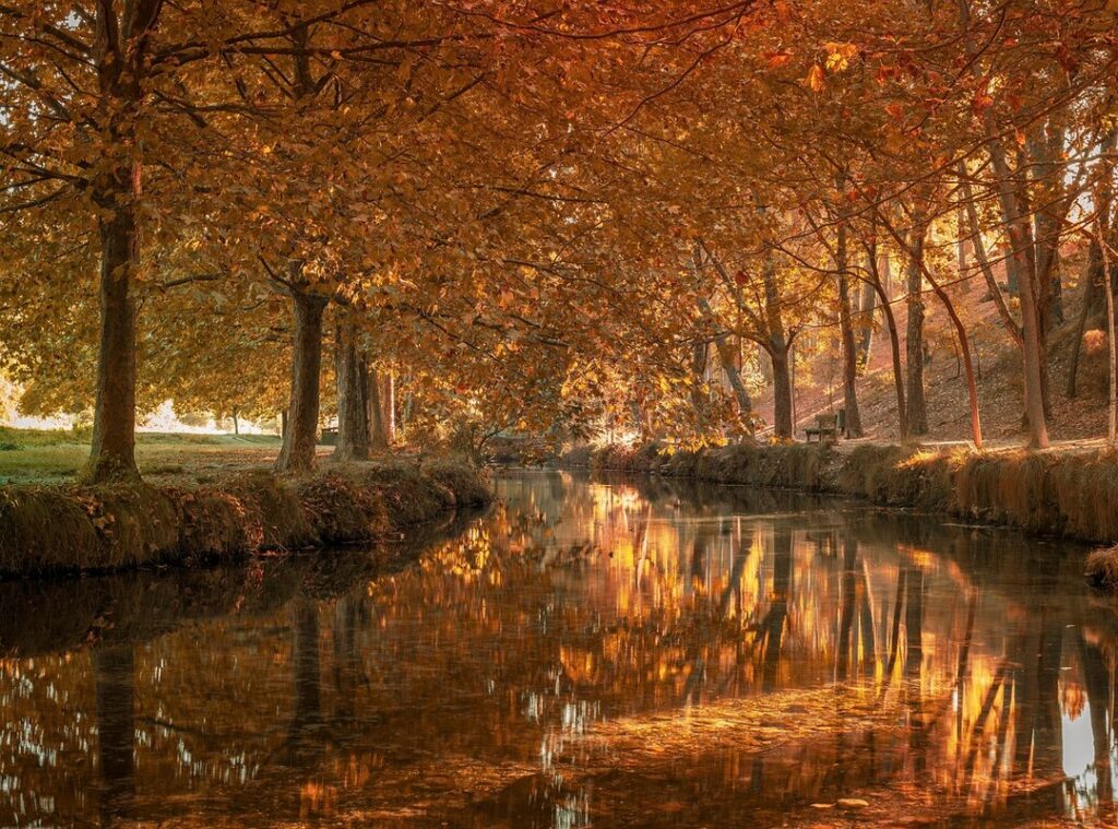 tatuaje cruz oreja hombre