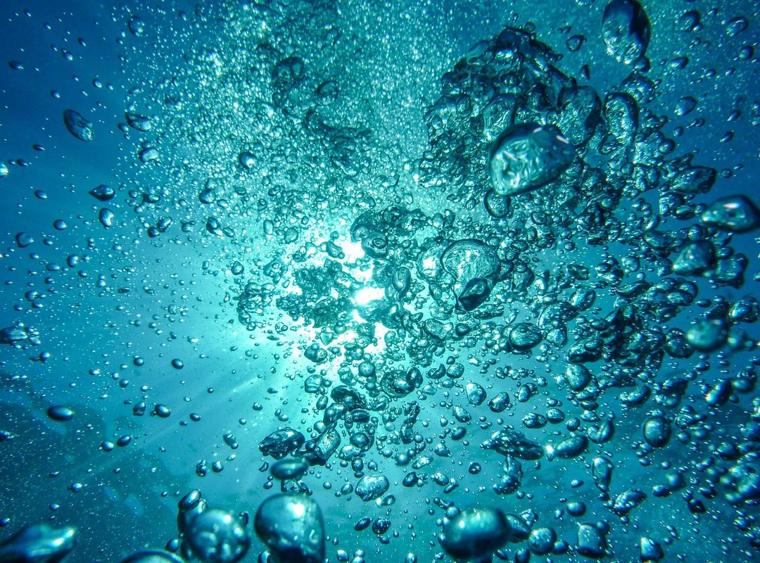 tidal pools guide