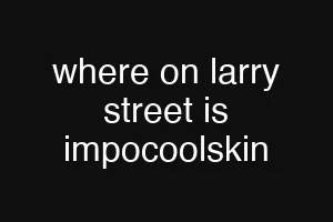 where on larry street is impocoolskin