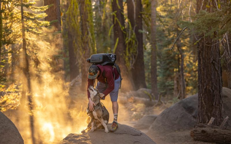 A hiker with a backpack embraces a dog on a forest trail illuminated by golden sunlight.