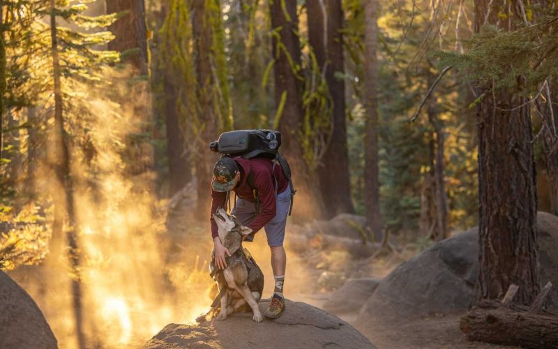 A hiker with a backpack embraces a dog on a forest trail illuminated by golden sunlight.
